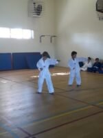 taekwondo 3