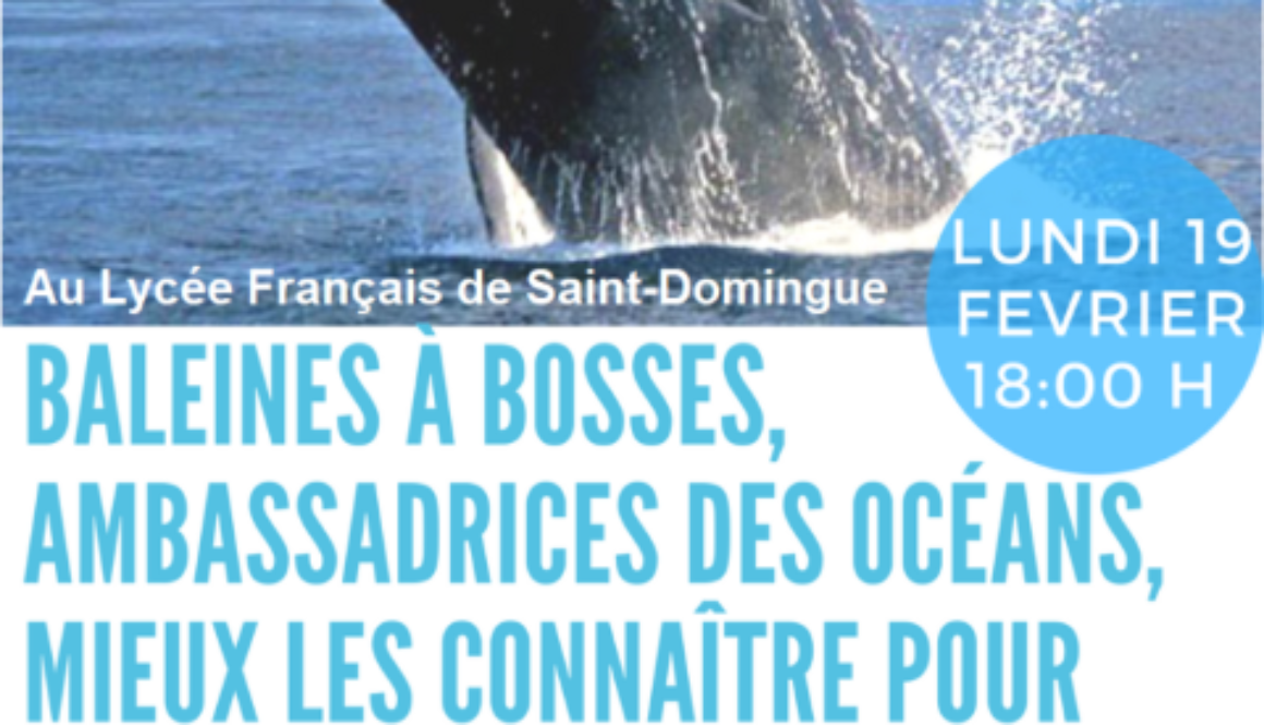 Conférence sur les baleines lundi 19 fev 18h