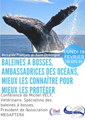 Conférence sur les baleines lundi 19 fev 18h