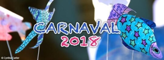 27750845_1521928624581770_4533740507311735158_n