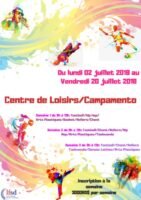 CAMPAMENTO DEL LICEO FRANCES