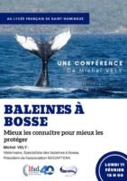 Affiche conférence baleines à bosse Michel Vély