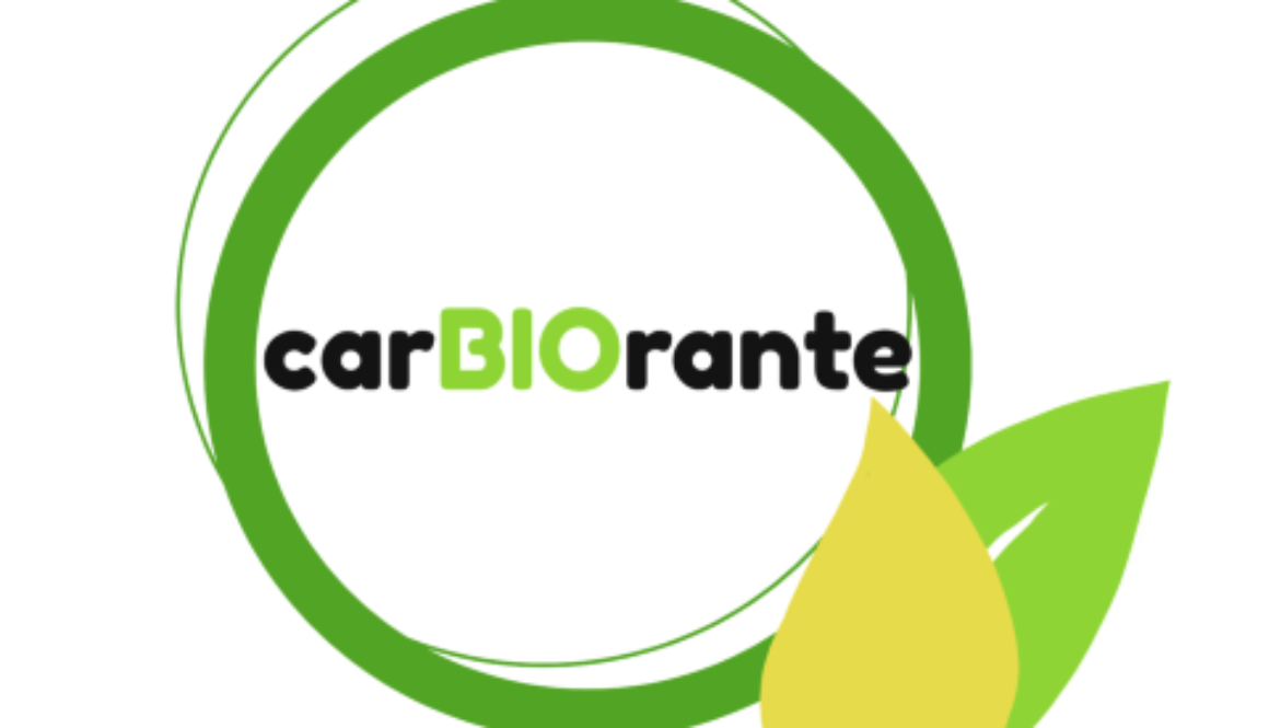 logo blanc