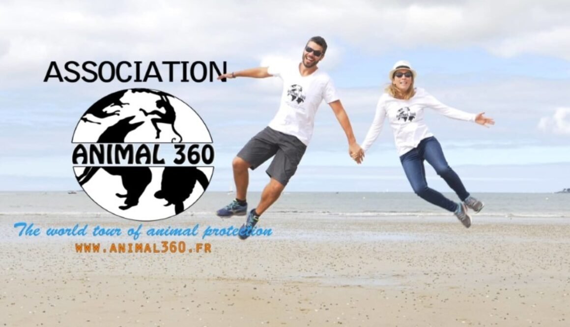 Aminal 360 Photo de mise en avant