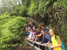 Photo de mise en avant