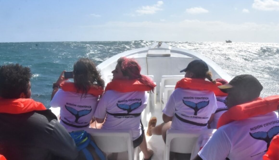 Photo de mise en avant Chants des baleines