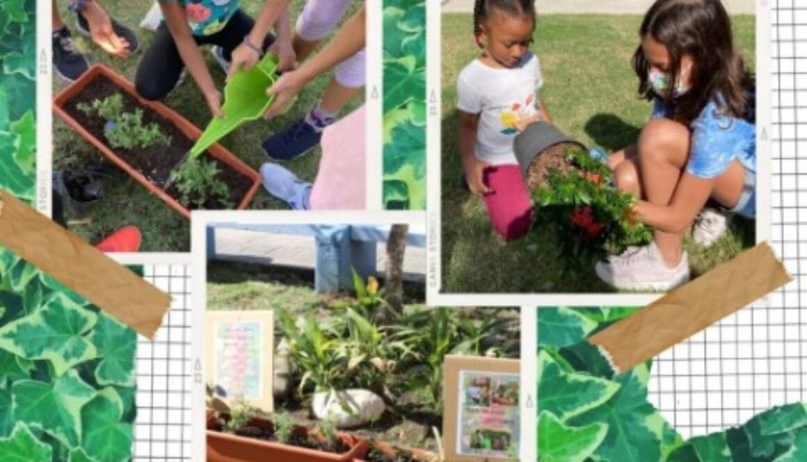 Photo de mise en avant Jardinage en primaire