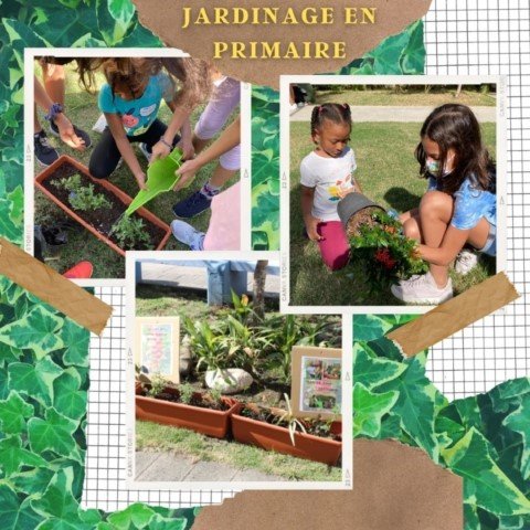 #villedurableLFSD: La jardinería en la escuela primaria