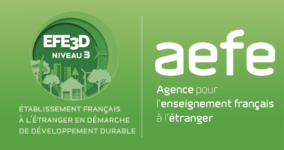 Logo EFE3D-niveau3